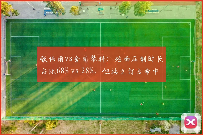 张伟丽vs舍甫琴科：地面压制时长占比68% vs 28%，但站立打击命中率低至32%